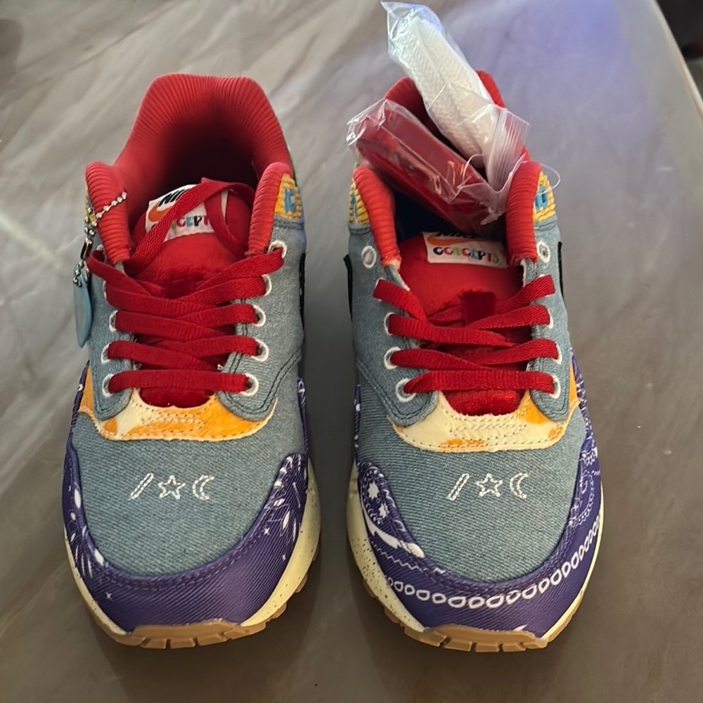 Nike Concepts X Air Max 1 SP Far Out Classic Kicks